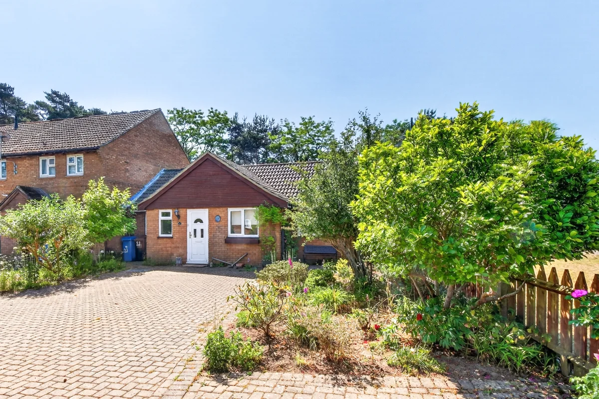 Queens Pine, Berkshire, RG12